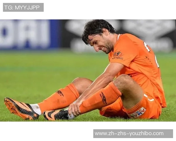 惠灵顿与珀斯的精彩对决分析及赛事前瞻